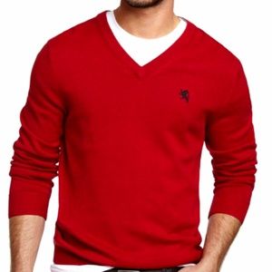EXPRESS V-neck Pullover Sweater